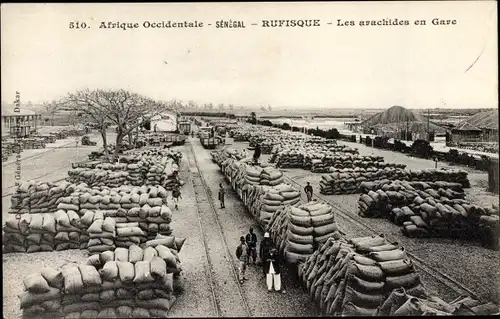 Ak Rufisque Senegal, Erdnüsse in Station