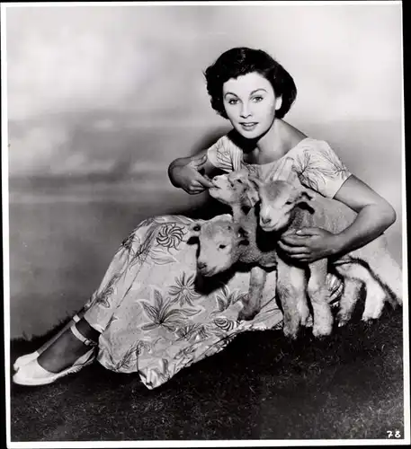 57 Pressefotos Jean Simmons, Portraits und Filmszenen