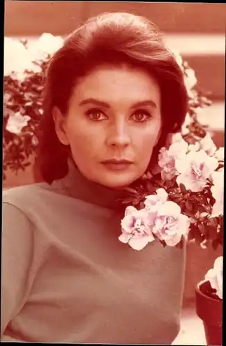 57 Pressefotos Jean Simmons, Portraits und Filmszenen