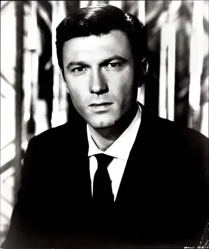 49 Pressefotos Laurence Harvey, Portraits und Filmszenen