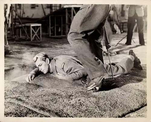 34 Pressefotos Alan Ladd, Pressefotos und Filmszenen