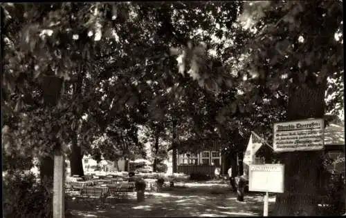 Ak Berlin Zehlendorf Wannsee, Restaurant und Café Vier Eichen, Albrechts Theerofen 10