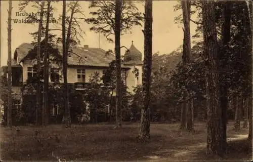 Ak Neu Babelsberg Potsdam in Brandenburg, Waldsanatorium