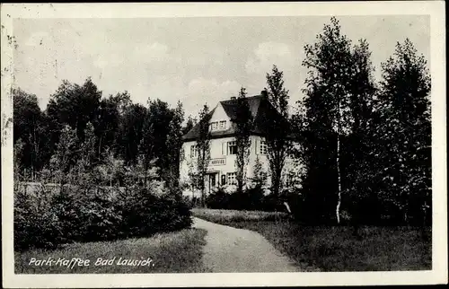 Ak Bad Lausick in Sachsen, Park Kaffee, Arno Rößer