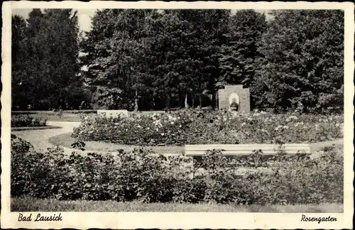 Ak Bad Lausick in Sachsen, Partie im Rosengarten