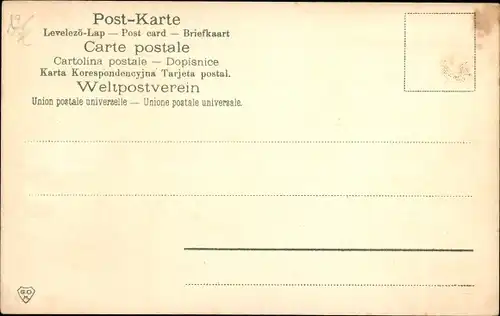 Litho Katzenmutter mit jungen Kätzchen, Rosen