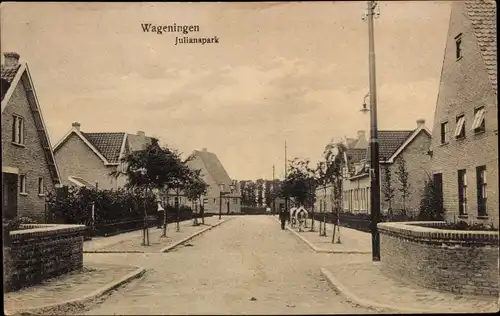 Ak Wageningen Gelderland Niederlande, Julianapark