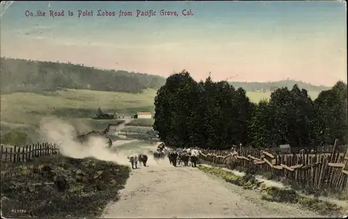 Ak Pacific Grove Kalifornien, Auf dem Weg nach Point Lobos