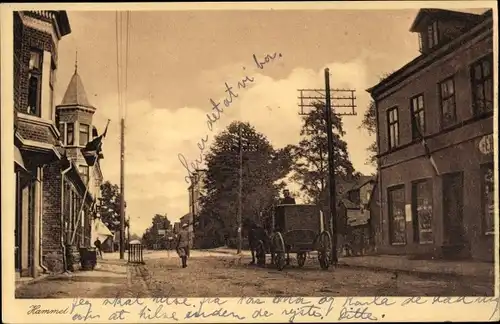 Ak Hammel Dänemark, Straßenpartie, Kutsche