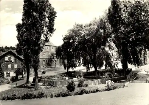 Ak Wittgendorf Saalfeld an der Saale, Teilansicht, Teich