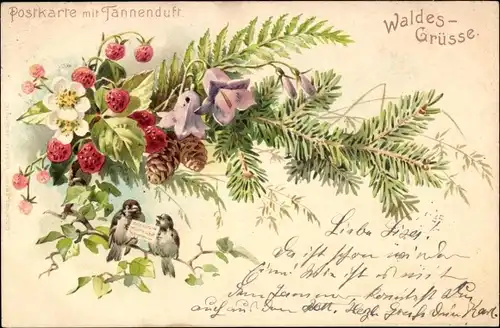 Litho Waldesgrüße, Vögel, Erdbeeren, Tannenzweige, Blüten