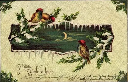 Präge Litho Glückwunsch Weihnachten, Vögel auf Tannenzweigen, Mondschein