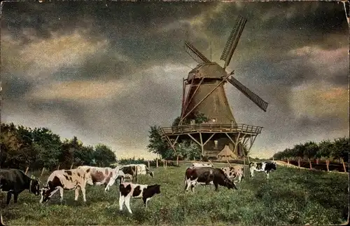Ak Landschaft mit Rinderherde und Windmühle