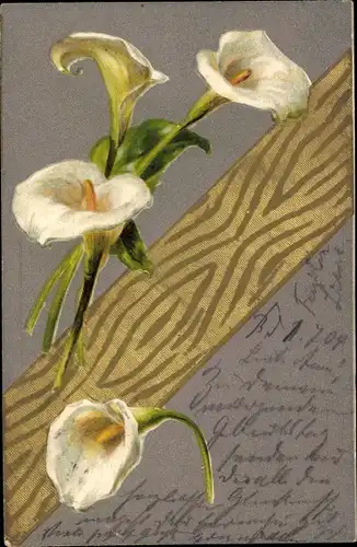 Litho Weiße Blüten, Calla
