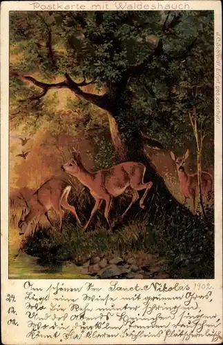 Litho Rehe im Wald, Postkarte mit Waldeshauch