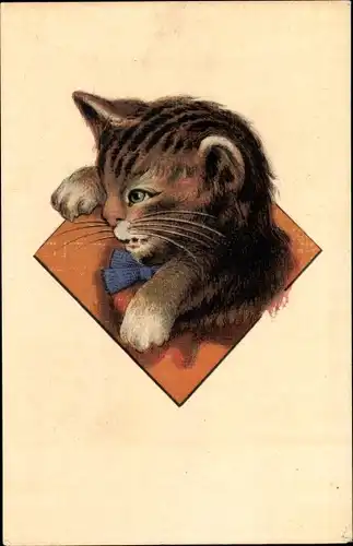 Künstler Ak junge Katze mit Schleife