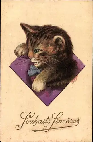 Litho Junge getigerte Katze mit blauer Schleife