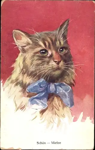 Künstler Ak Schön Mietze, Katze, Blaue Schleife, Porträt