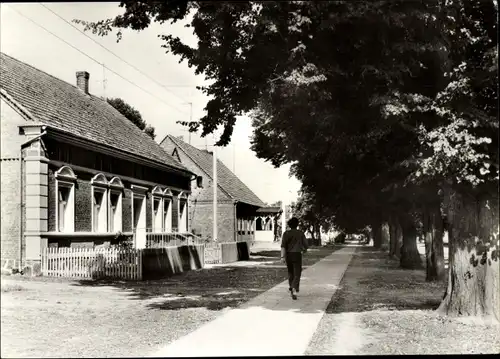 Ak Buchholz Röbel an der Müritz, Straßenpartie