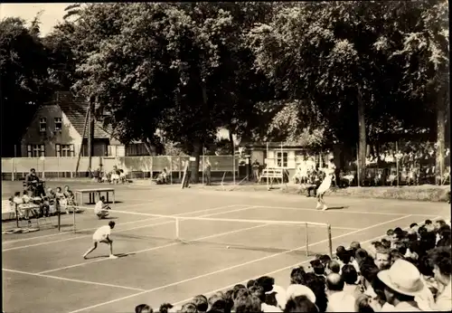 Ak Ostseebad Zinnowitz auf Usedom, Tennisplatz