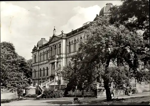 Ak Altenburg in Thüringen, Staatliches Lindenau-Museum