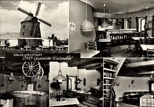 Ak Neustadt Halle an der Saale, HO Gaststätte Eselsmühle, Windmühle