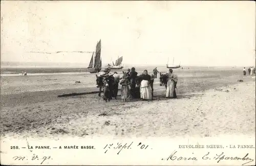 Ak La Panne De Panne Westflandern, A Maree Basse, Gruppe mit Eseln am Strand