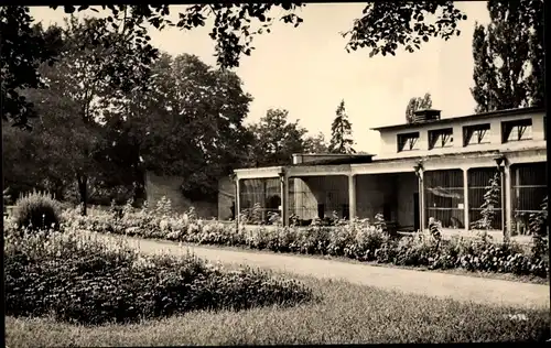 Ak Halle an der Saale, Raubtierhaus im Zoo