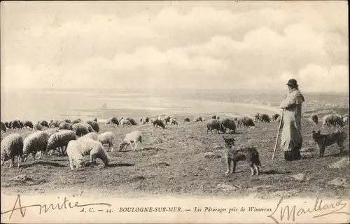 Ak Boulogne sur Mer Pas de Calais, Les Paturages pres de Wimereux