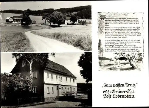 Ak Schönbrunn Ebersdorf in Thüringen, Grüner Esel, Gasthaus Zum weißen Trutz