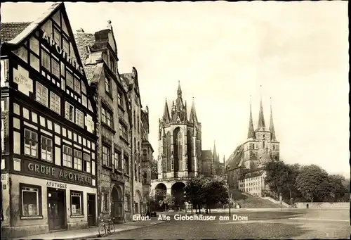 Ak Erfurt in Thüringen, Alte Giebelhäuser am Dom, Grüne Apotheke