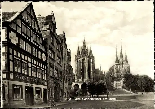 Ak Erfurt in Thüringen, Alte Giebelhäuser am Dom, Grüne Apotheke