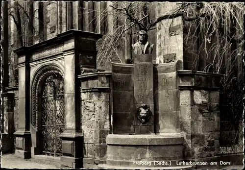 Ak Freiberg in Sachsen, Lutherbrunnen am Dom