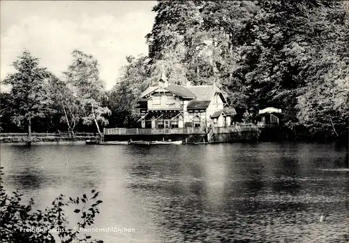 Ak Freiberg in Sachsen, Schwanenschlößchen, Blick über Gewässer