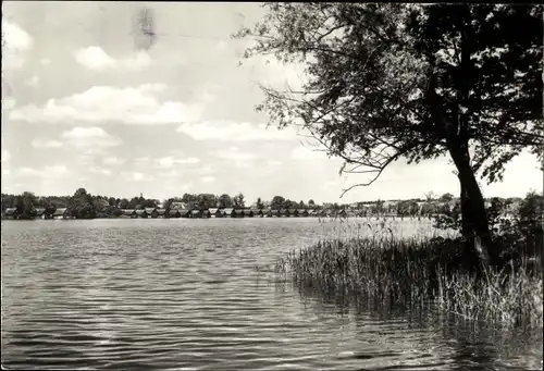 Ak Mirow Mecklenburgische Seenplatte, Mirower See