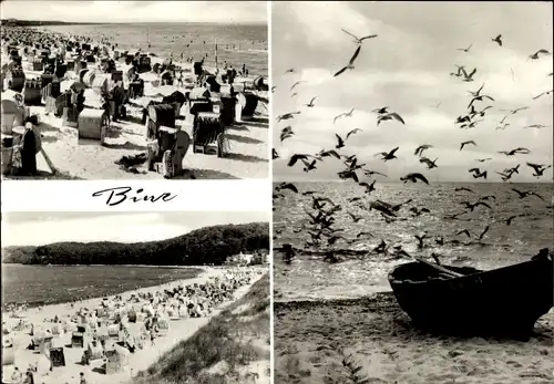 Ak Seebad Binz auf Rügen, Strand, Boot, Möwen