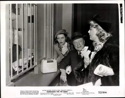 Foto Schauspieler Victor Mature, Patricia Neal, Edmund Gwenn, Something for the birds, Pressefoto