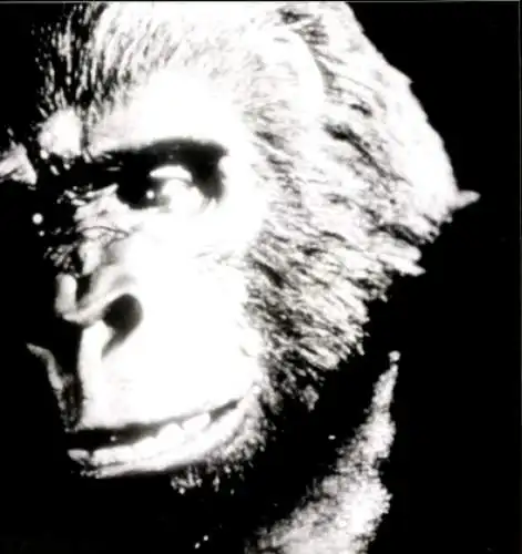 Foto Filmszene King Kong USA 1976