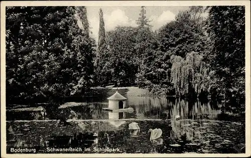 Ak Bodenburg Bad Salzdetfurth in Niedersachsen, Schlosspark, Schwanenteich