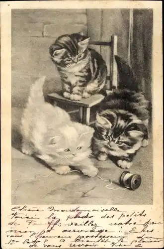 Litho Drei junge Katzen spielen mit einer Garnspule