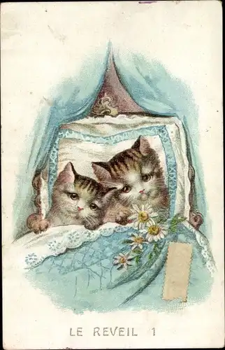 Litho Der Traum, zwei junge Katzen, Kopfkissen, Bettdecke, Bettvorhang, Blumen