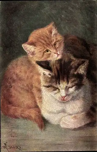 Künstler Ak Stocks, M., Katze und junges Kätzchen
