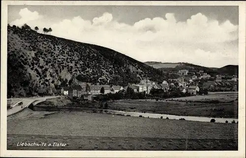 Ak Liebschwitz Gera in Thüringen, Panorama