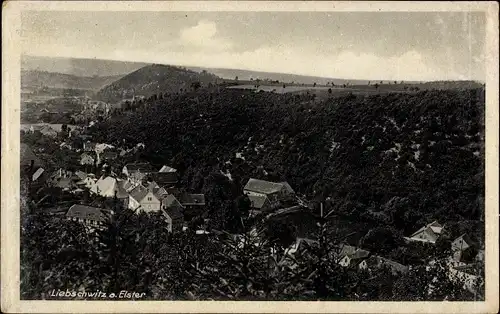 Ak Liebschwitz Gera in Thüringen, Panorama