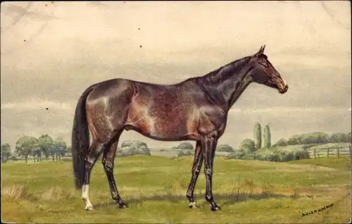 Künstler Ak Alderson, English Thoroughbred, Sire, Rassepferd