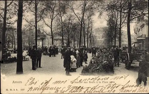 Ak Antwerpen, Blumenmarkt, Grüner Platz