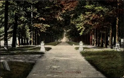 Ak Apeldoorn Gelderland, Paleislaan