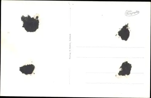 Ak Ostseebad Kühlungsborn, Strand, Promenade