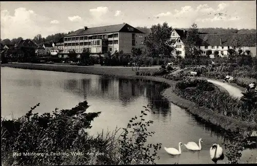 Ak Bad Meinberg am Teutoburger Wald, Teilansicht, See