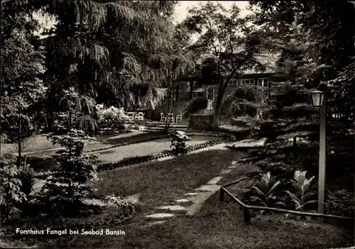 Ak Ostseebad Bansin Heringsdorf auf Usedom, Forsthaus Fangel